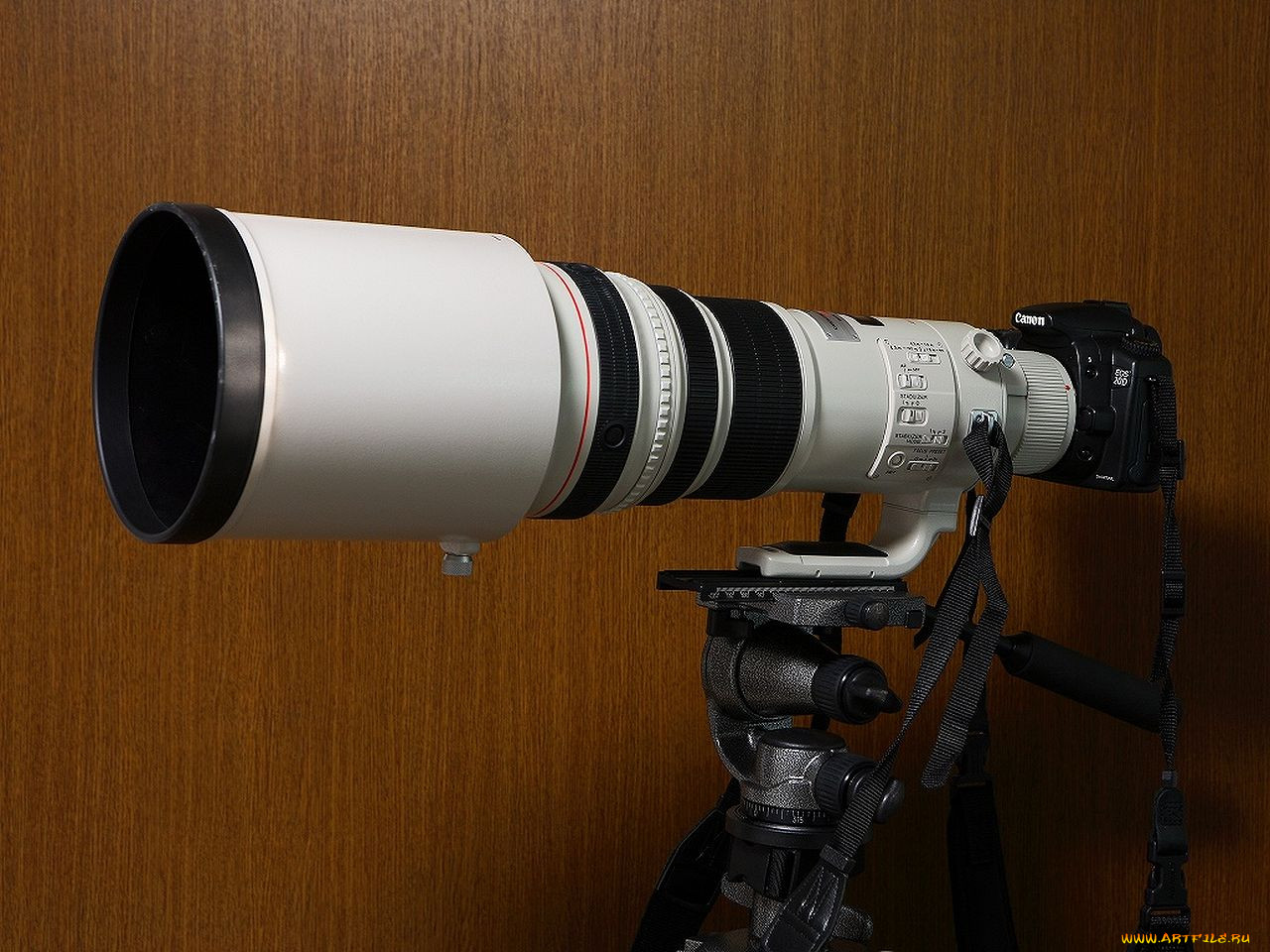 , canon
